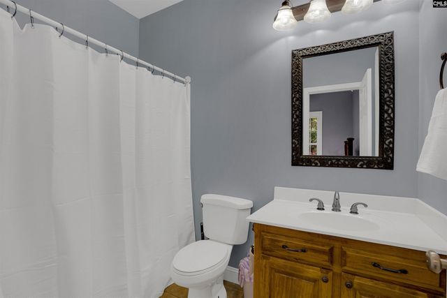 233 Mt Olivet Church Road, Chapin, SC 29036