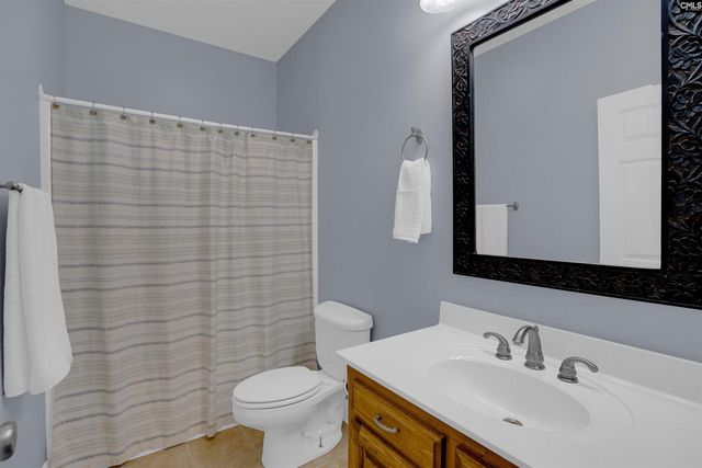 233 Mt Olivet Church Road, Chapin, SC 29036