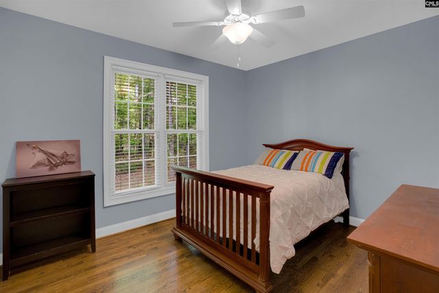 233 Mt Olivet Church Road, Chapin, SC 29036