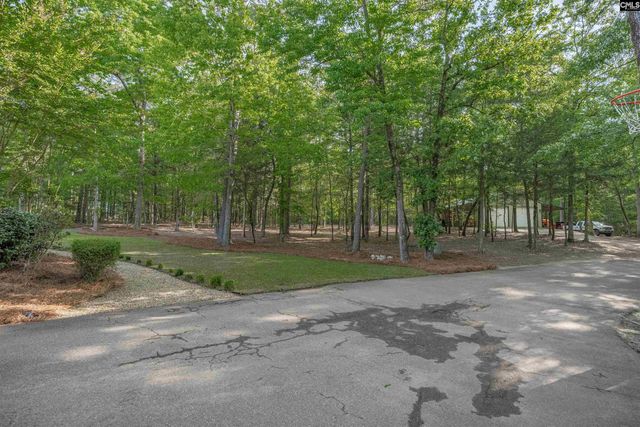 233 Mt Olivet Church Road, Chapin, SC 29036