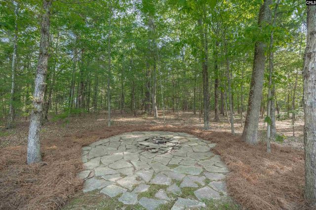 233 Mt Olivet Church Road, Chapin, SC 29036
