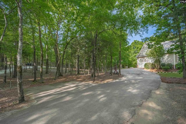 233 Mt Olivet Church Road, Chapin, SC 29036