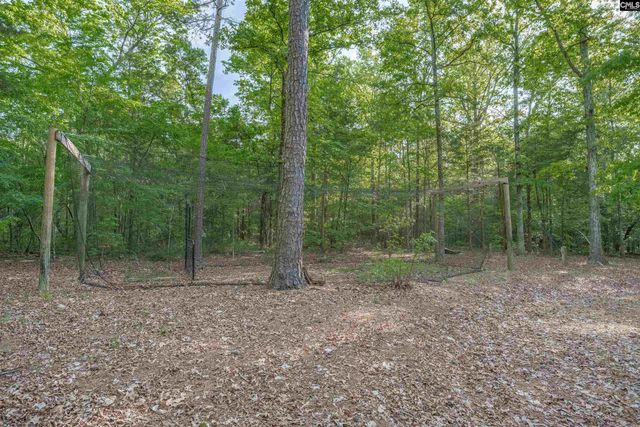 233 Mt Olivet Church Road, Chapin, SC 29036