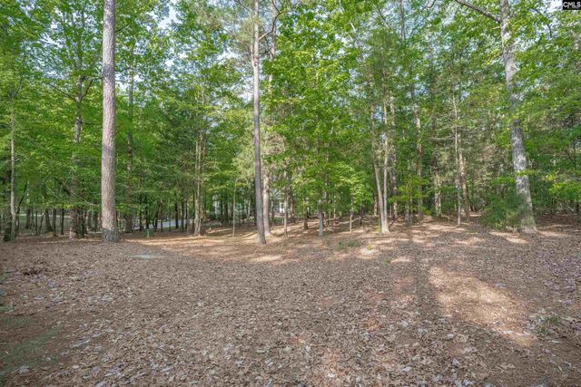 233 Mt Olivet Church Road, Chapin, SC 29036
