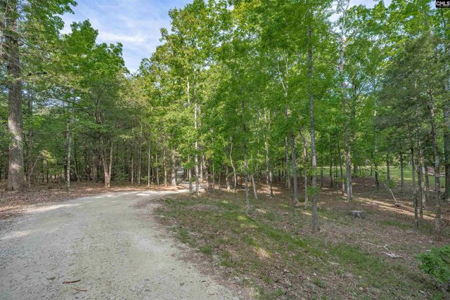 233 Mt Olivet Church Road, Chapin, SC 29036