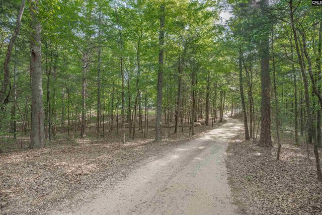 233 Mt Olivet Church Road, Chapin, SC 29036