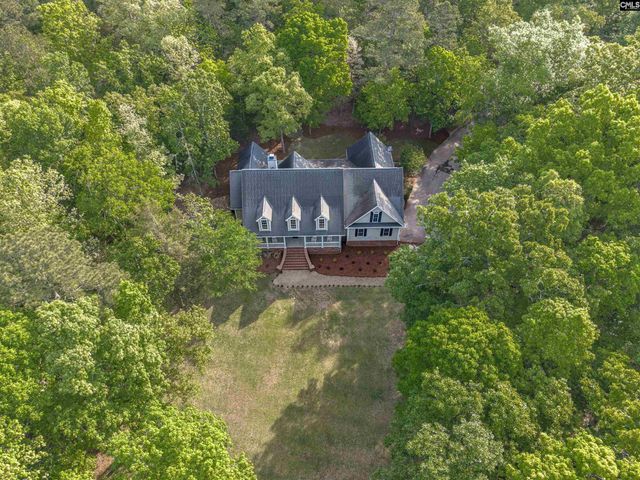 233 Mt Olivet Church Road, Chapin, SC 29036