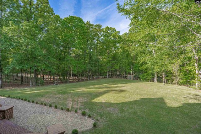 233 Mt Olivet Church Road, Chapin, SC 29036
