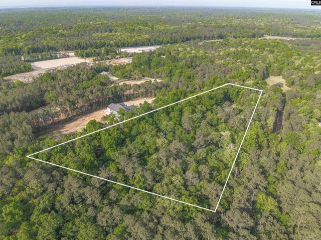 233 Mt Olivet Church Road, Chapin, SC 29036