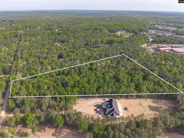 233 Mt Olivet Church Road, Chapin, SC 29036