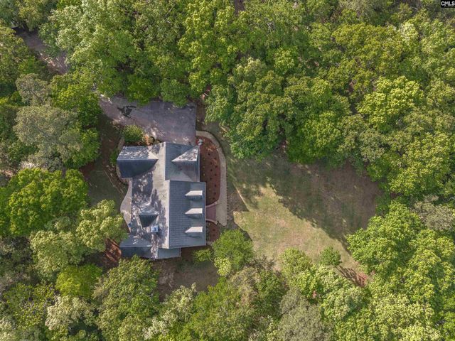 233 Mt Olivet Church Road, Chapin, SC 29036
