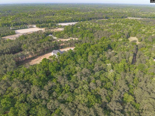 233 Mt Olivet Church Road, Chapin, SC 29036