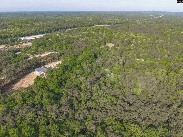 233 Mt Olivet Church Road, Chapin, SC 29036