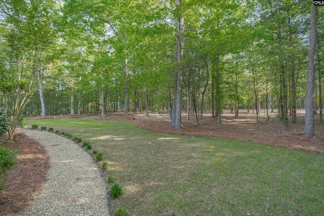 233 Mt Olivet Church Road, Chapin, SC 29036