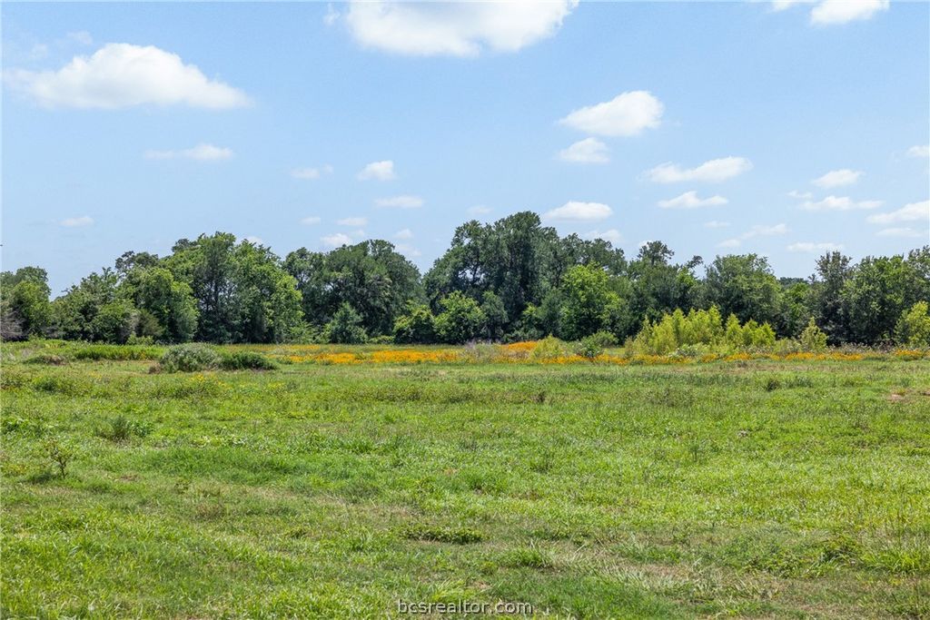 TBD County Road 268, Snook, TX 77878 — photo 2