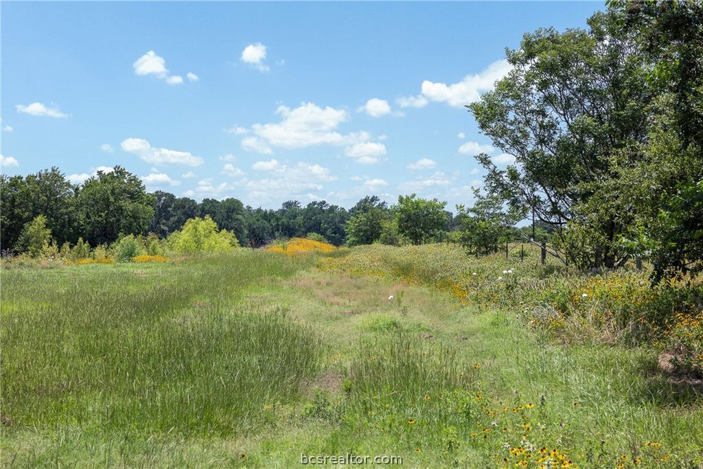 TBD County Road 268, Snook, TX 77878 — photo 3