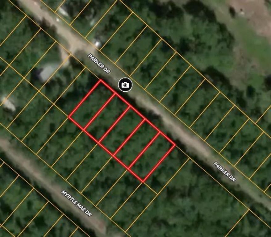 192 Parker Drive, Livingston, TX 77351