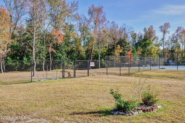 237 Sabal Pond Way, Castle Hayne, NC 28429