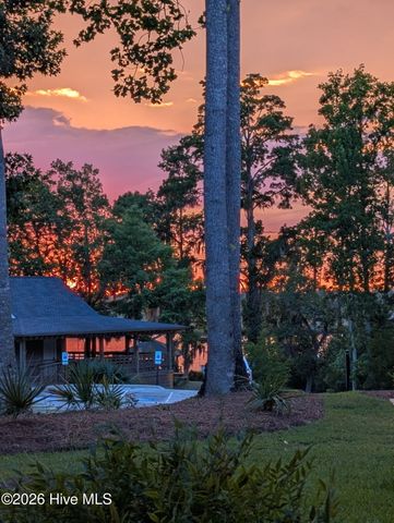 237 Sabal Pond Way, Castle Hayne, NC 28429