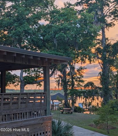 237 Sabal Pond Way, Castle Hayne, NC 28429