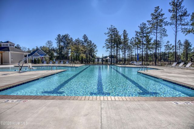 237 Sabal Pond Way, Castle Hayne, NC 28429