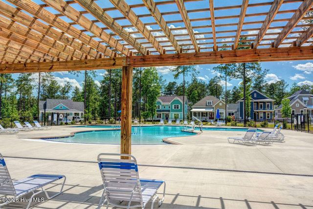 237 Sabal Pond Way, Castle Hayne, NC 28429