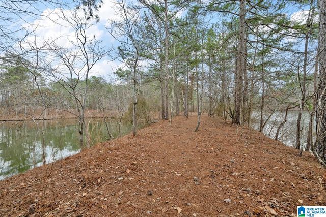 3263 COUNTY ROAD 199, Clanton, AL 35046