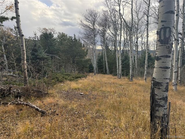 2663 Petito Drive, Fort Garland, CO 81133