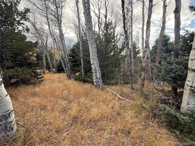 2663 Petito Drive, Fort Garland, CO 81133