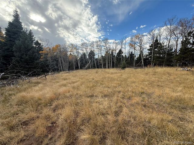 2663 Petito Drive, Fort Garland, CO 81133