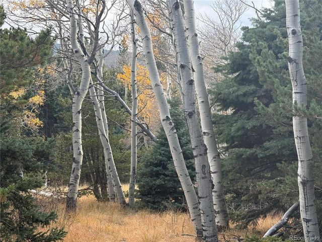 2663 Petito Drive, Fort Garland, CO 81133