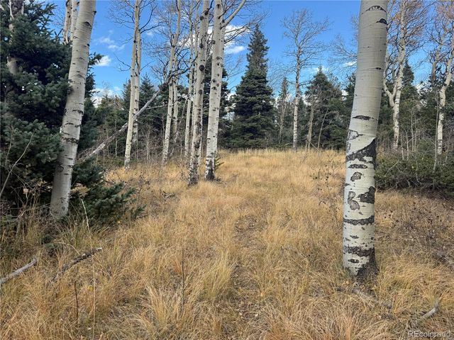 2663 Petito Drive, Fort Garland, CO 81133