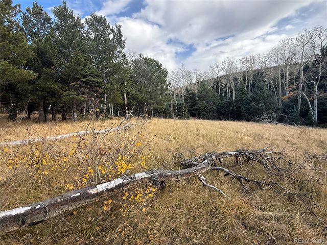 2663 Petito Drive, Fort Garland, CO 81133