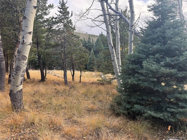 2663 Petito Drive, Fort Garland, CO 81133