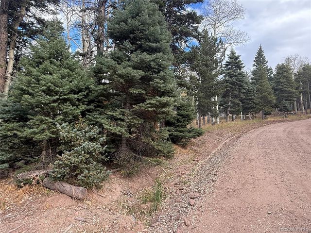 2663 Petito Drive, Fort Garland, CO 81133