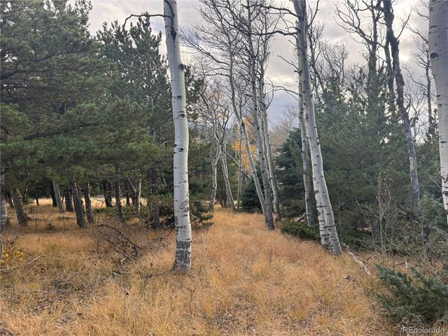 2663 Petito Drive, Fort Garland, CO 81133