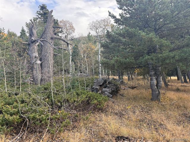 2663 Petito Drive, Fort Garland, CO 81133