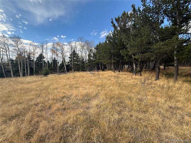 2663 Petito Drive, Fort Garland, CO 81133