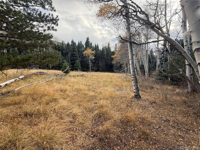 2663 Petito Drive, Fort Garland, CO 81133