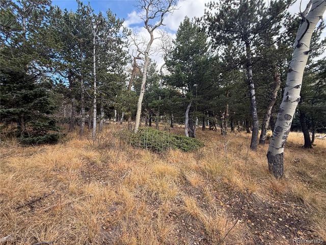 2663 Petito Drive, Fort Garland, CO 81133