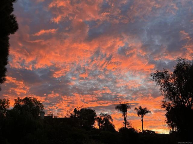 1282 Olive Ave, Fallbrook, CA 92028