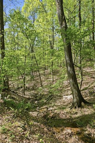 225 Windflower Drive, Big Canoe, GA 30143