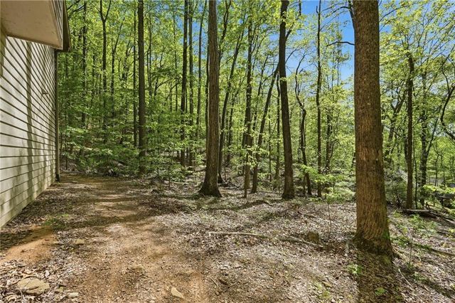 225 Windflower Drive, Big Canoe, GA 30143