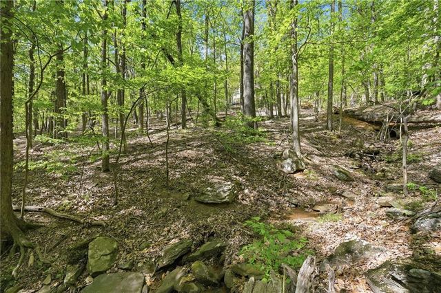 225 Windflower Drive, Big Canoe, GA 30143