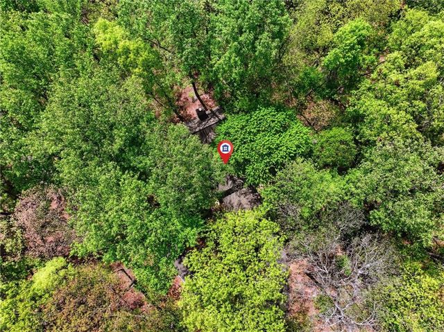 225 Windflower Drive, Big Canoe, GA 30143