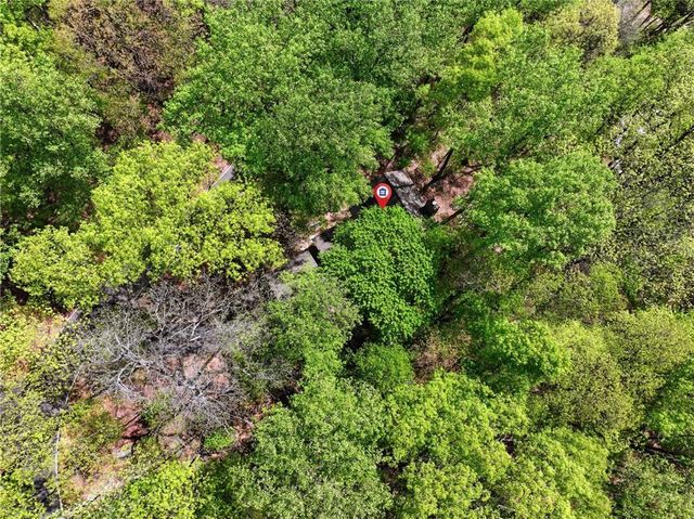 225 Windflower Drive, Big Canoe, GA 30143