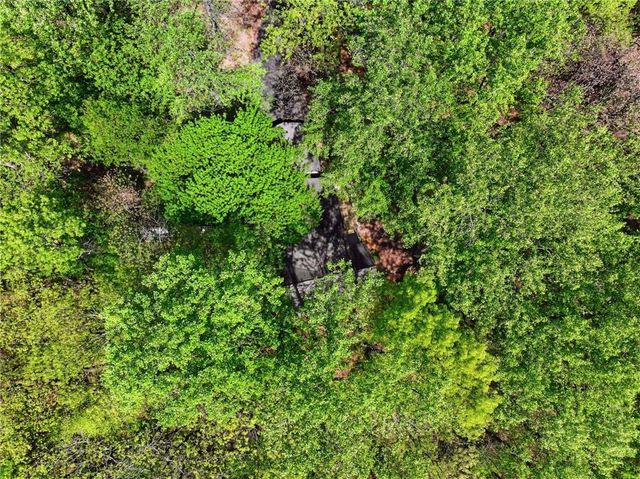 225 Windflower Drive, Big Canoe, GA 30143