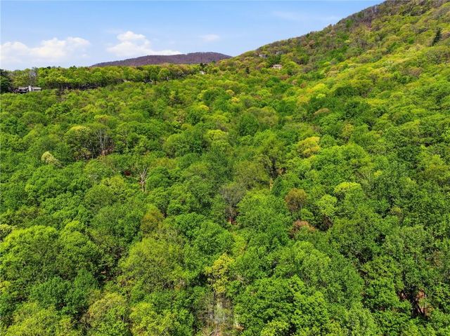 225 Windflower Drive, Big Canoe, GA 30143
