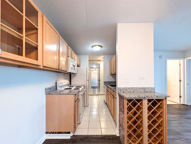 1043 S York Road 406, Bensenville, IL 60106