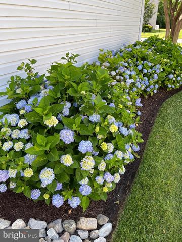 5995 BELL CREEK DR, Salisbury, MD 21801